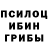 Галлюциногенные грибы Magic Shrooms Khan Naisar