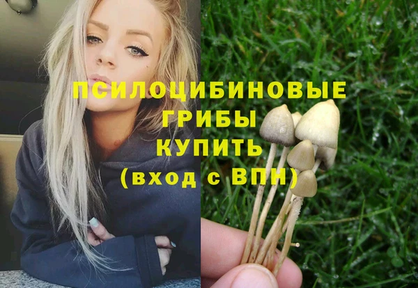 крисы Алексеевка