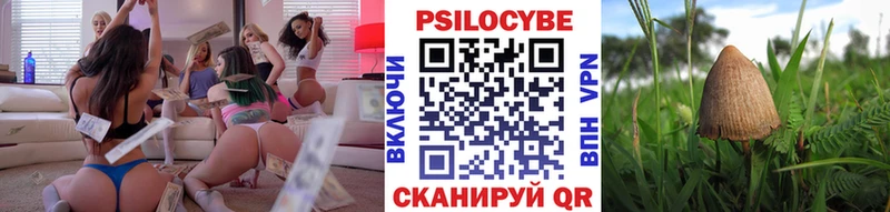 наркота  Цивильск  Псилоцибиновые грибы ЛСД 
